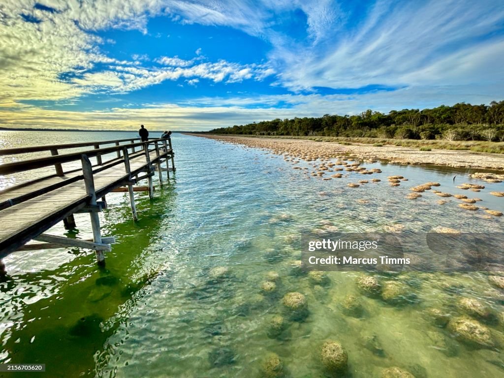 Thrombolite Dock