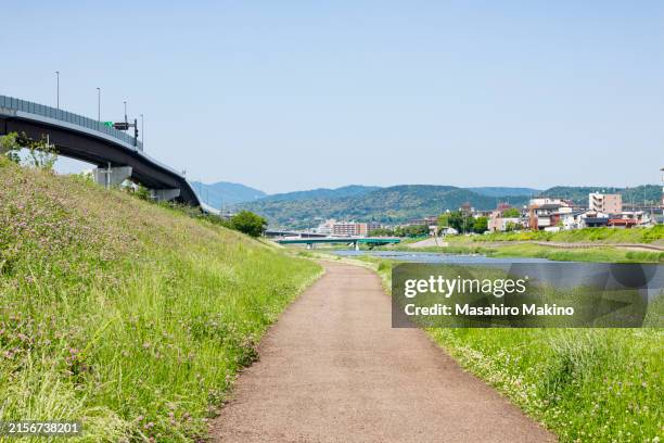 walkway along the kamo river, kyoto city - riverbank stock pictures, royalty-free photos & images