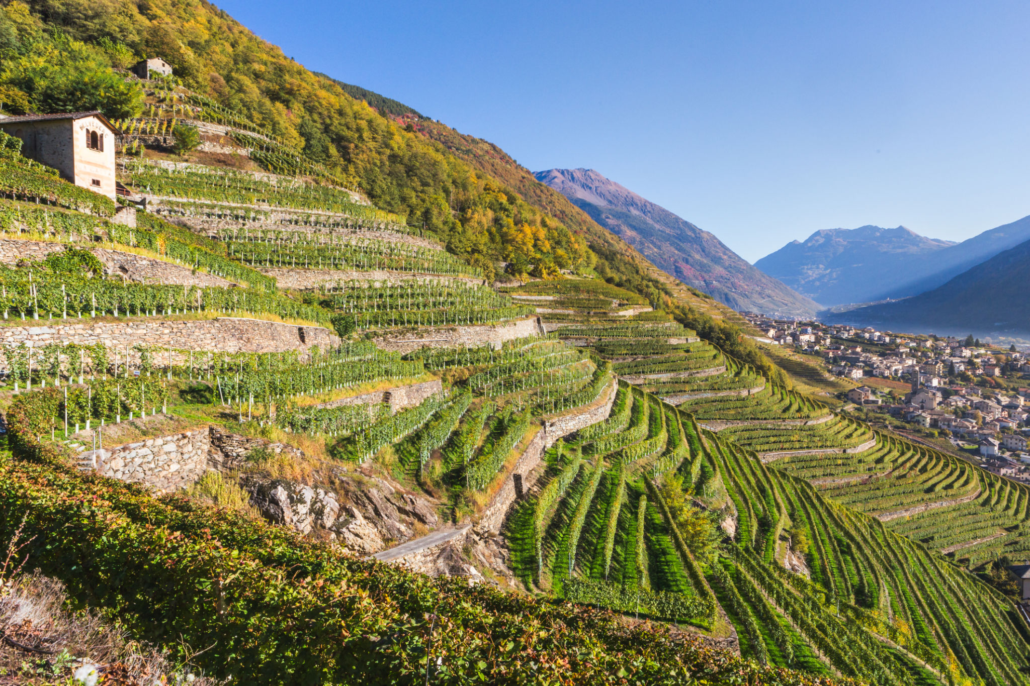 valtellina valley