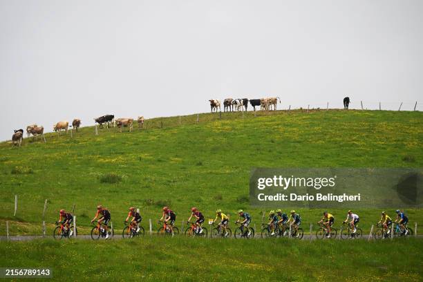 General view of Primoz Roglic of Slovenia and Team BORA - hansgrohe - Yellow leader jersey, Matteo Jorgenson of The United States and Team Visma |...