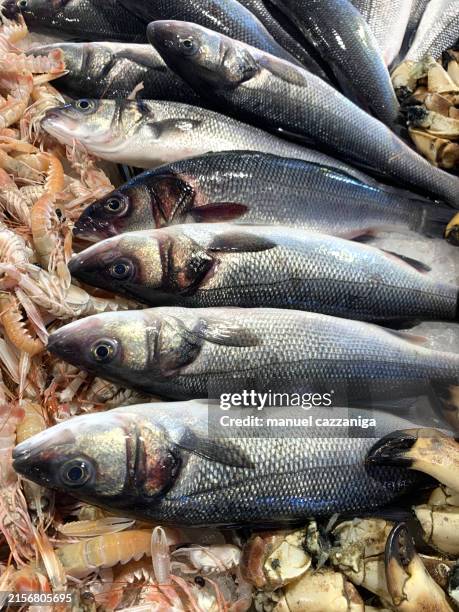 seabass at fish market - lubina fotografías e imágenes de stock