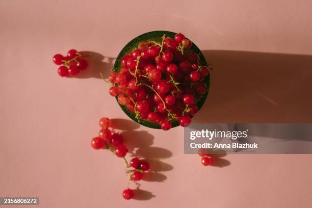 red currants summer fruits in bright sunlight on pink background - rode bes stockfoto's en -beelden