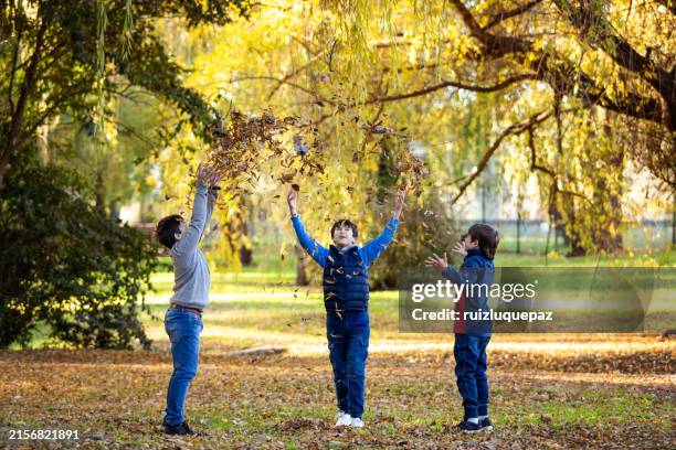 Fall Rx Photos 58,176 Autumn 10 Stock Photos, High-Res Pictures, and Images - Getty Images