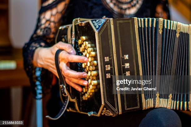 bandoneon (musical instrument used in argentine tango) - tango argentina stock pictures, royalty-free photos & images