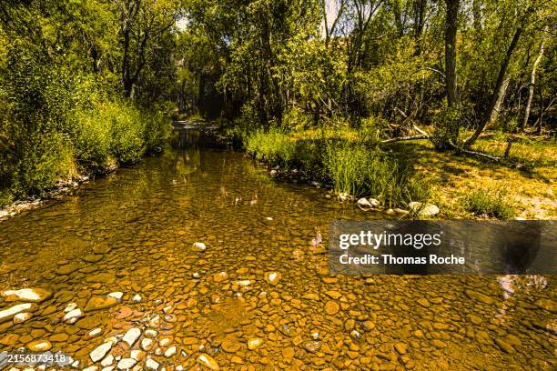 Grey Ridge Streams 4,540 Running Stream Stock Photos, High-Res Pictures, and Images ...