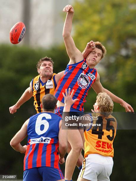 Ryan Ruck 244 Ryan Ruck Photos & High Res Pictures - Getty Images