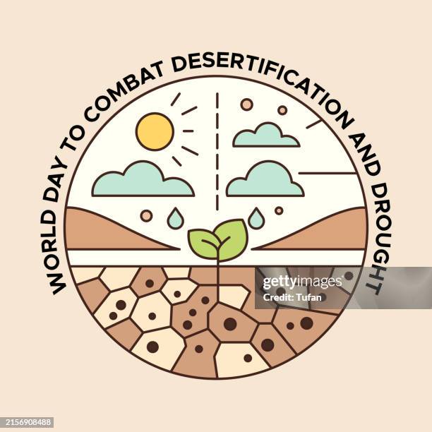 world day to combat desertification and drought illustration, 17 june social media post design - desertification stock illustrations
