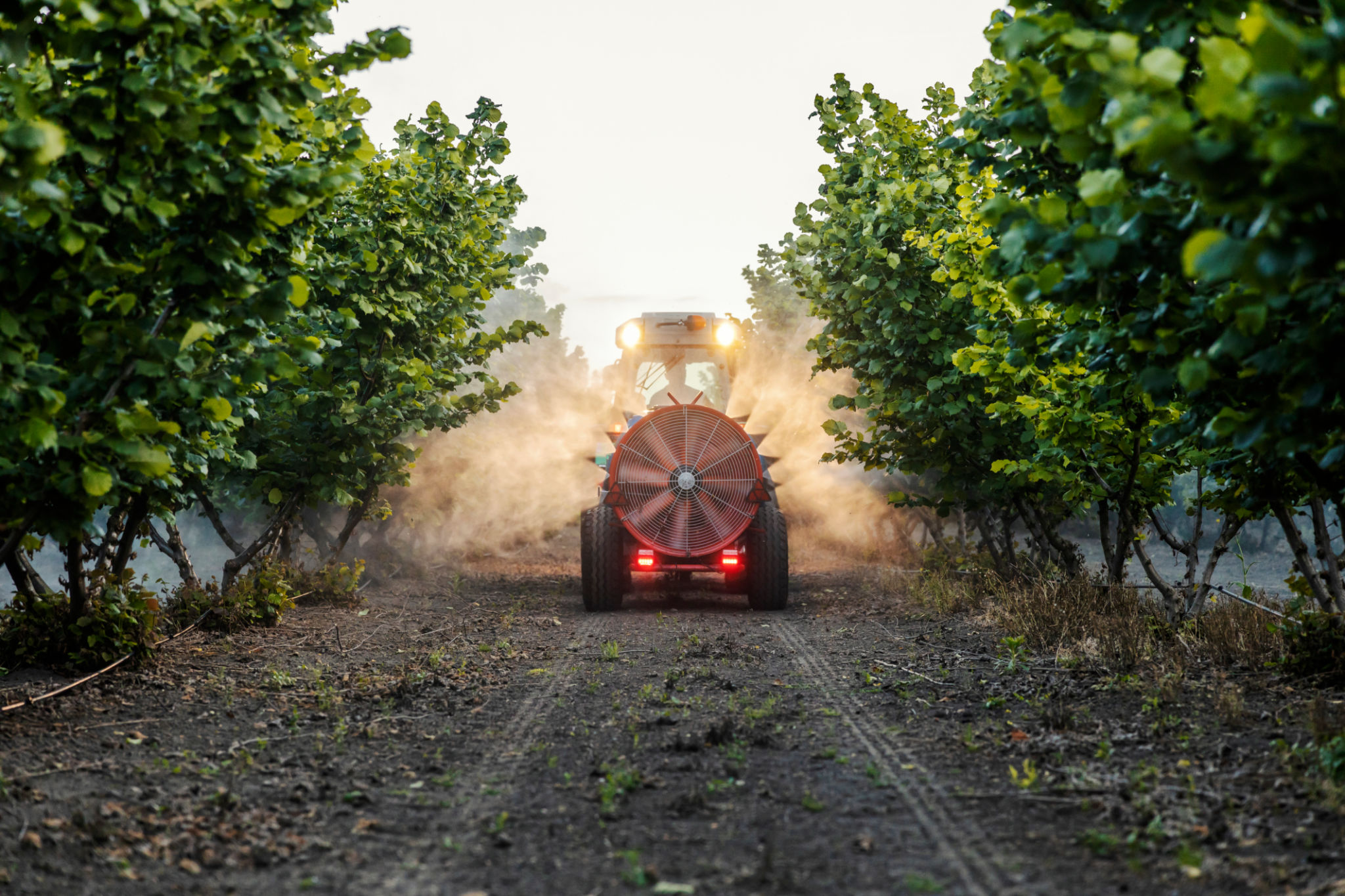 liquid fertilizer