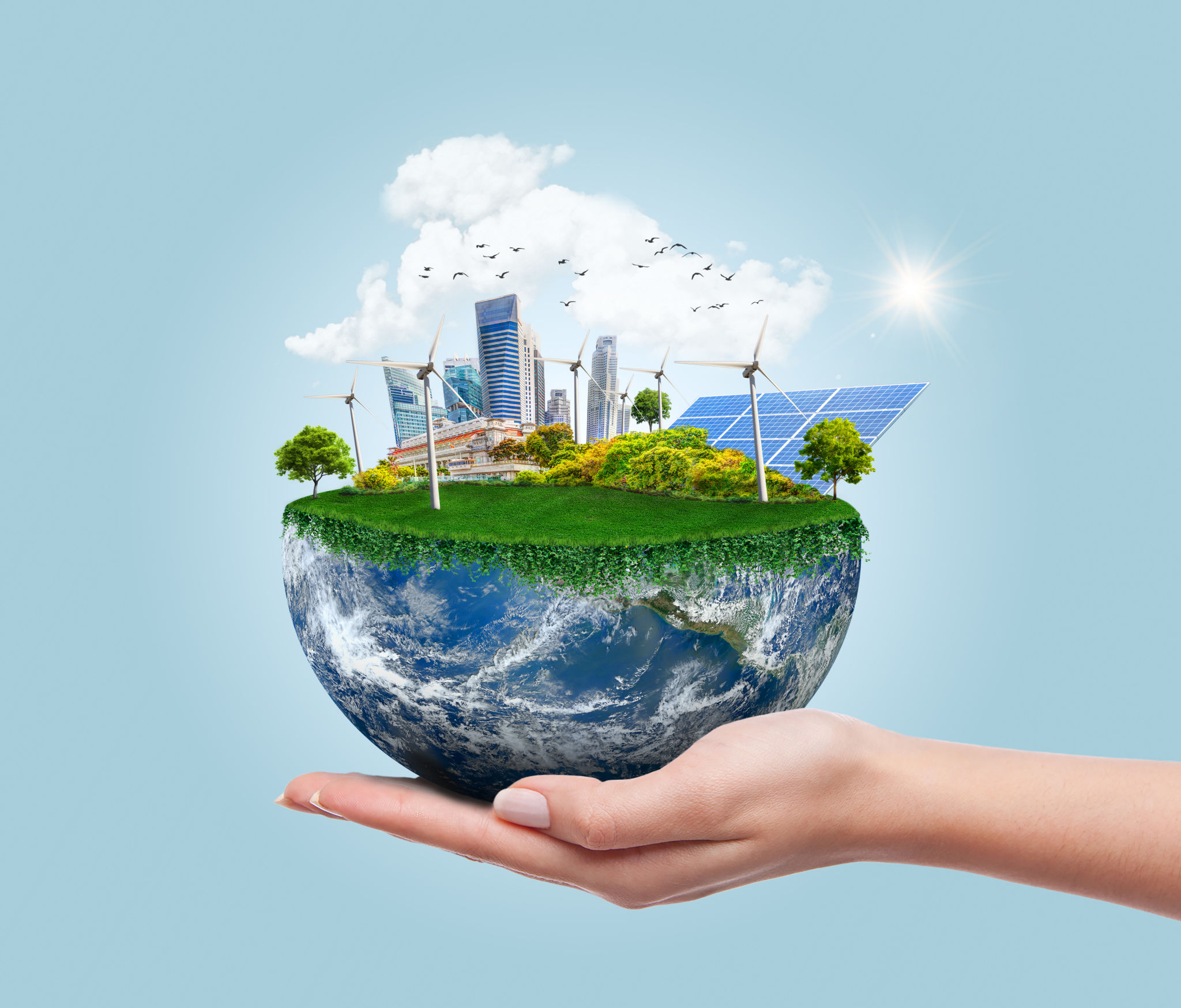 environmental conservation