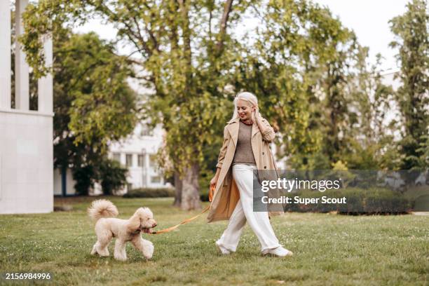walking time in the park for red poodle and her owner - dog walking stock pictures, royalty-free photos & images