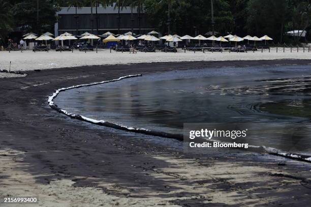 Oil coated sand along the Tanjong beach on Sentosa Island, Singapore, on Saturday, June 15, 2024. Singapore's port authorities are dealing with an...
