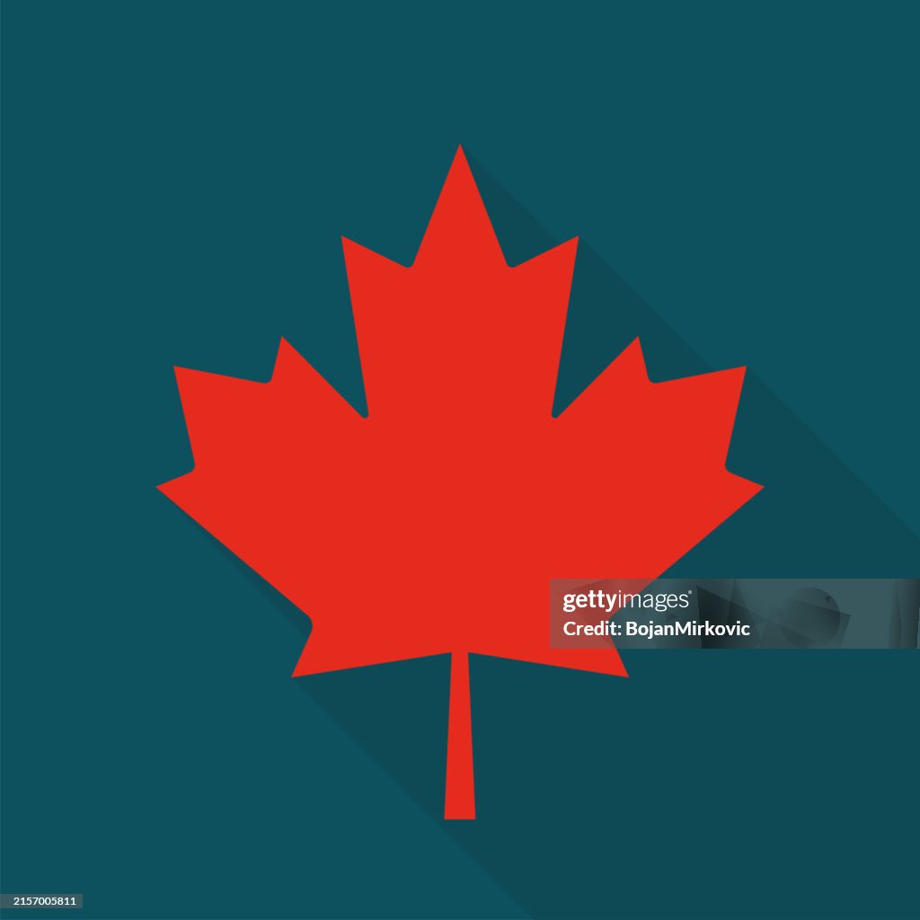 Maple leaf flat icon. Vector