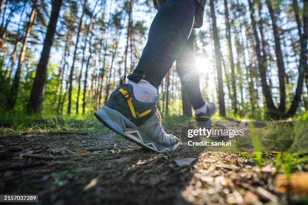 cross-country running on the path in the woods - wandelen stockfoto's en -beelden