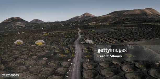 lanzarote la geria volcánico lava negra viñedo camino de tierra islas canarias - lanzarote fotografías e imágenes de stock