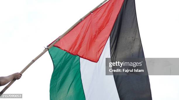palestinian flag against white sky - palästinensische flagge stock-fotos und bilder
