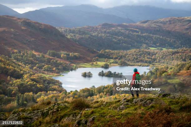 rydal water in the the lake district - english lake district stock pictures, royalty-free photos & images