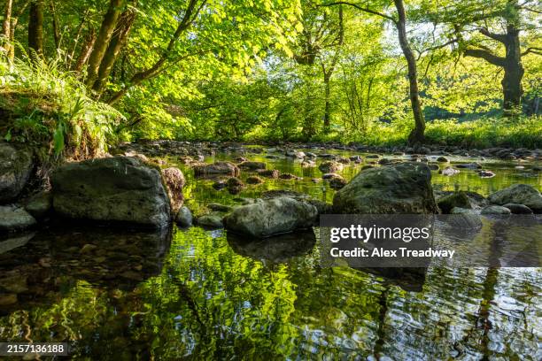 River Rothery 82 River Rothay Stock Photos, High-Res Pictures, and Images - Getty Images