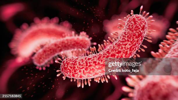 ilustración médica de bacterias - microorganismo fotografías e imágenes de stock