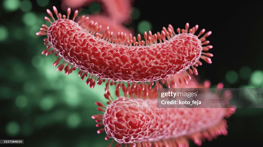 Bacteria medical illustration