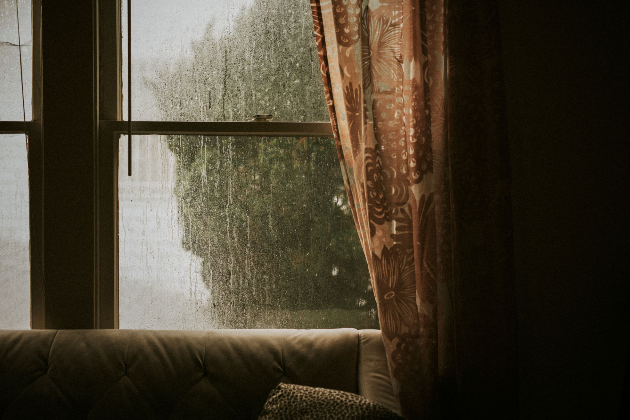 humidity effects drapery