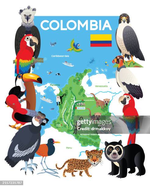 ilustraciones, imágenes clip art, dibujos animados e iconos de stock de mapa de colombia y aves - américa del sur mapa de america latina