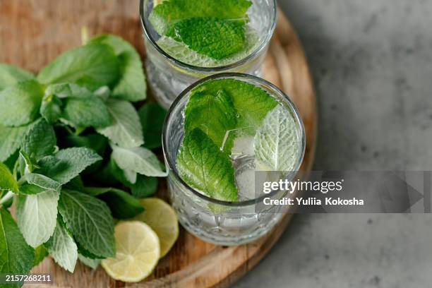 refreshing summer drink mojito cocktail. mint and lemon - mojito photos et images de collection