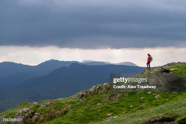 Scar Ridge 91 Scar Ridge Stock Photos, High-Res Pictures, and Images - Getty Images