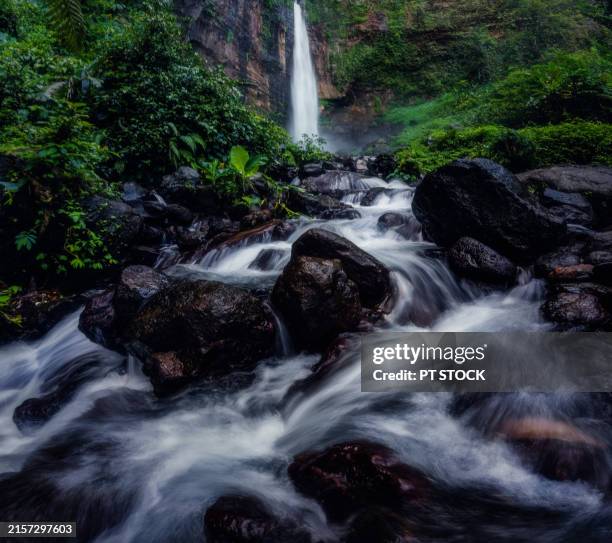 22 Eastern Java Bali Rain Forests Stock Photos, High-Res Pictures, and ...