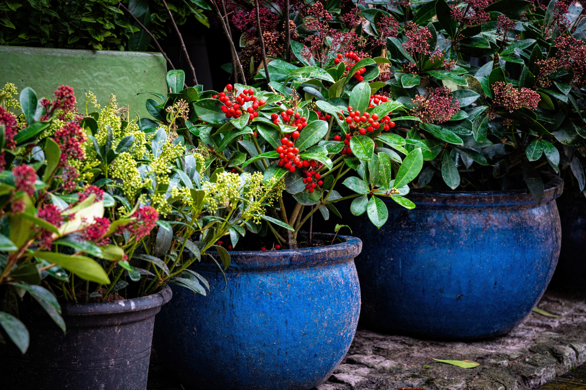 decorated flower pots