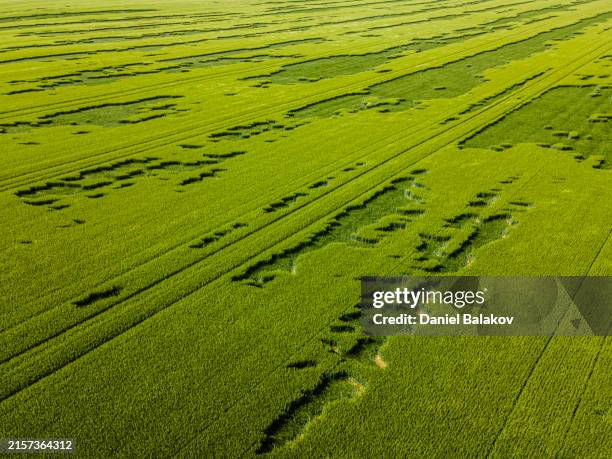 Hail Field 927 Hail Field Stock Photos, High-Res Pictures, and Images - Getty Images