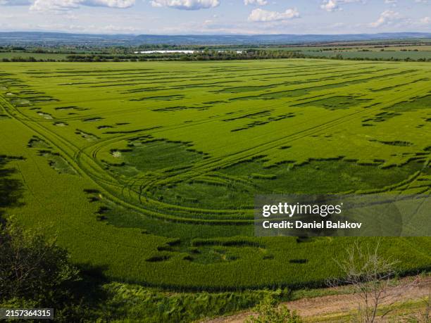 Hail Field 927 Hail Field Stock Photos, High-Res Pictures, and Images - Getty Images