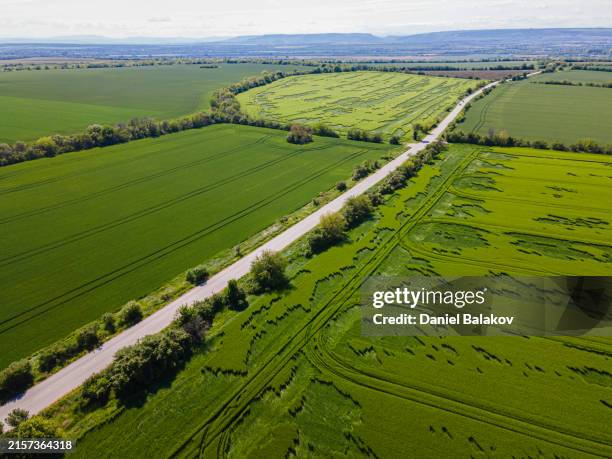 Hail Field 927 Hail Field Stock Photos, High-Res Pictures, and Images - Getty Images