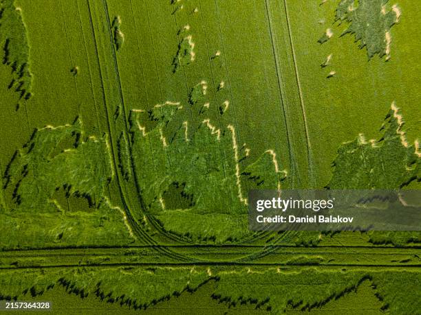 Hail Field 923 Hail Field Stock Photos, High-Res Pictures, and Images - Getty Images