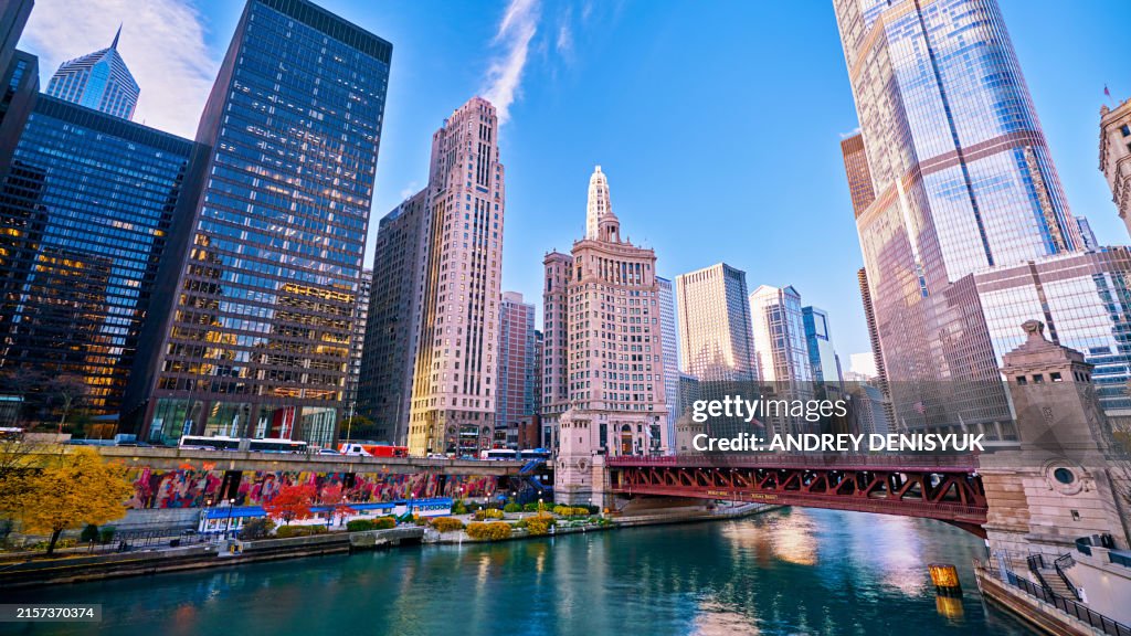 Chicago Cityscape
