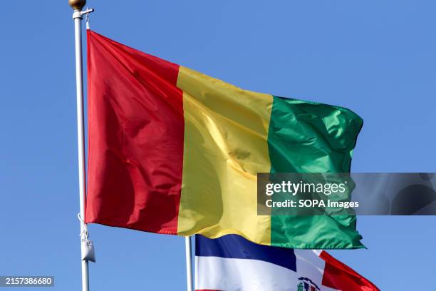 The flag of the Republic of Guinea seen in the gallery of flags of the participating countries in the framework of St. Petersburg International...