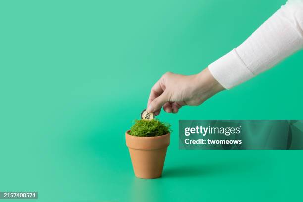 investment concepts still life. - sembrar fotografías e imágenes de stock