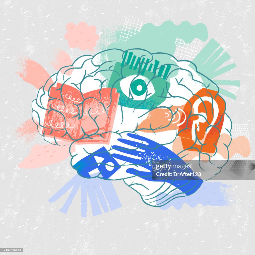 Brain Learning Visual Brain And Different Learning Styles High-Res Vector Graphic - Getty Images