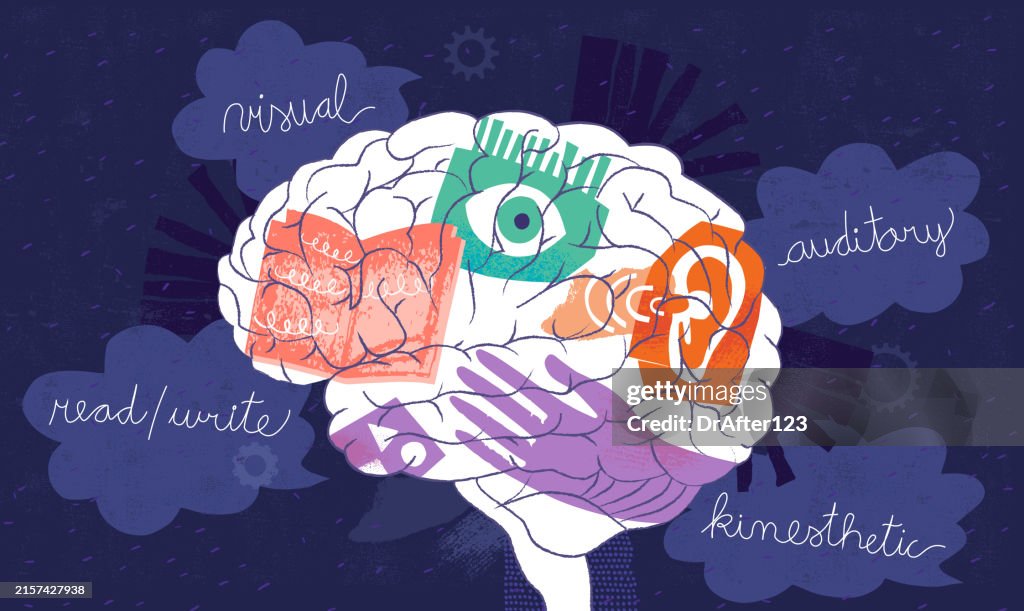 Brain Learning Visual Brain And Four Learning Styles High-Res Vector Graphic - Getty Images