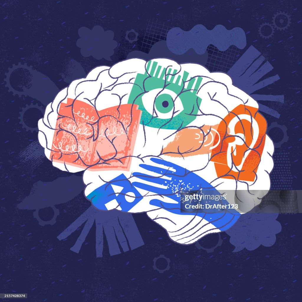 Brain Learning Visual Brain Learning High-Res Vector Graphic - Getty Images