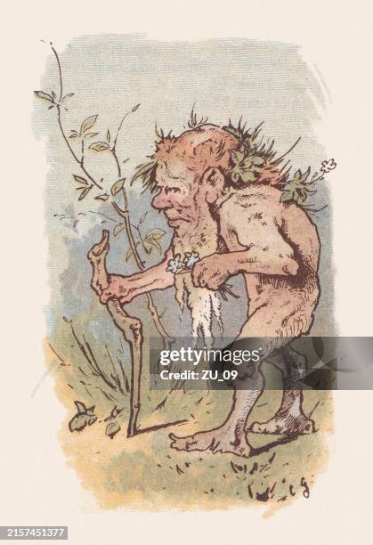 root man, fictional character from a fairy tale, chromolithograph, 1888 - gnome stock illustrations