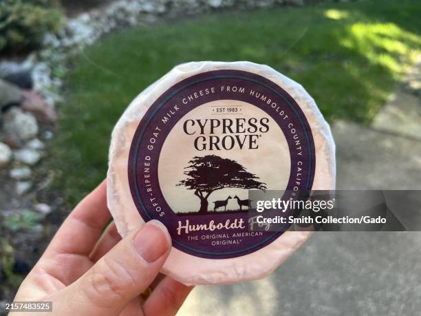 Hand holding a package of Cypress Grove Humboldt Fog goat milk cheese outdoors, Lafayette, California, June 2, 2024.