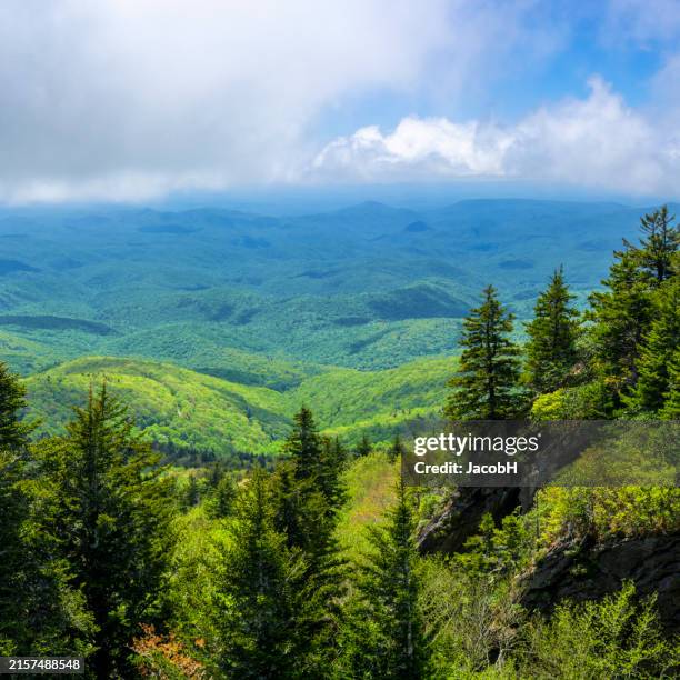 Blue Rge Mountains Spring 301 Blue Ridge Mountains In Spring Stock Photos, High-Res Pictures, and ...