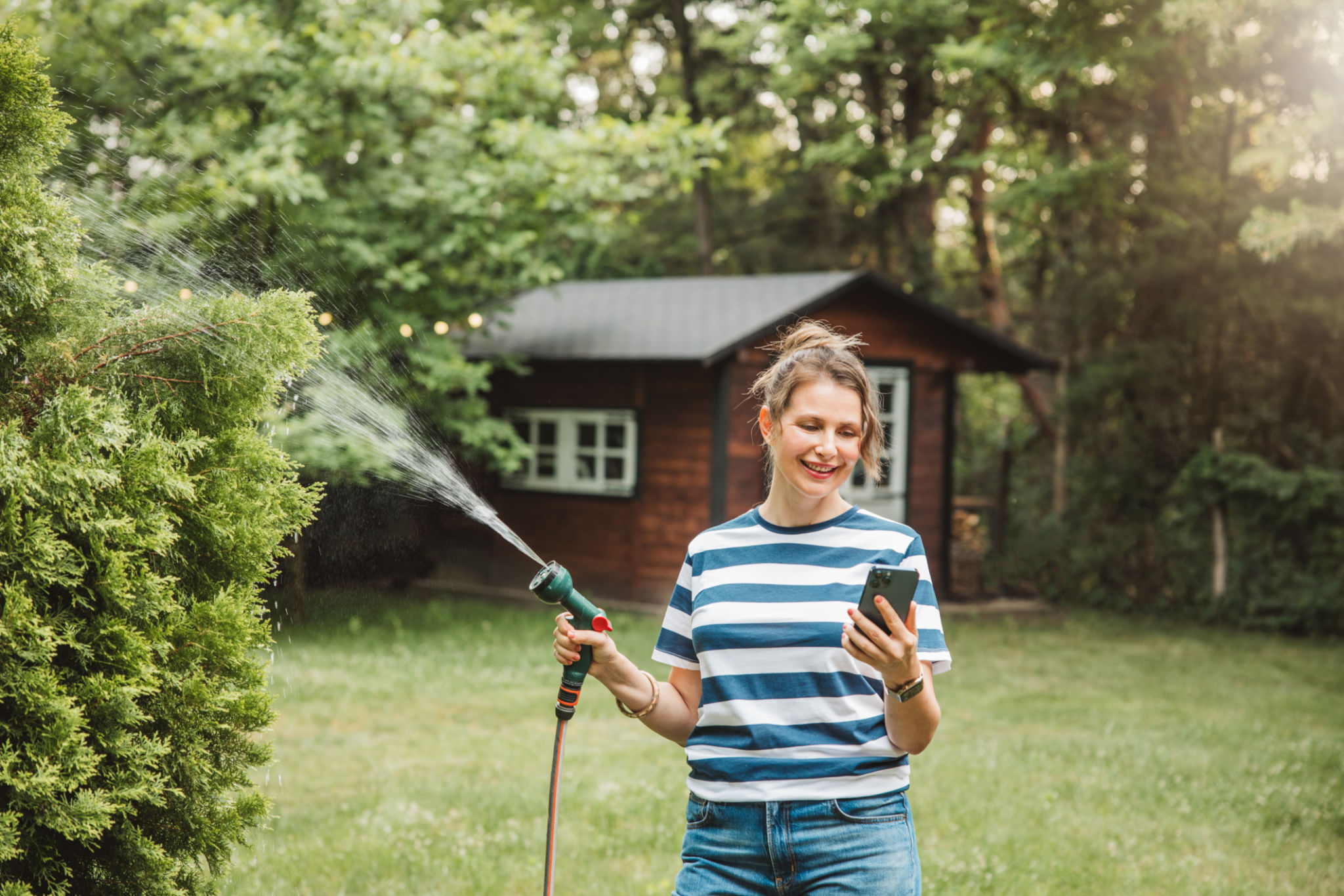lawn watering