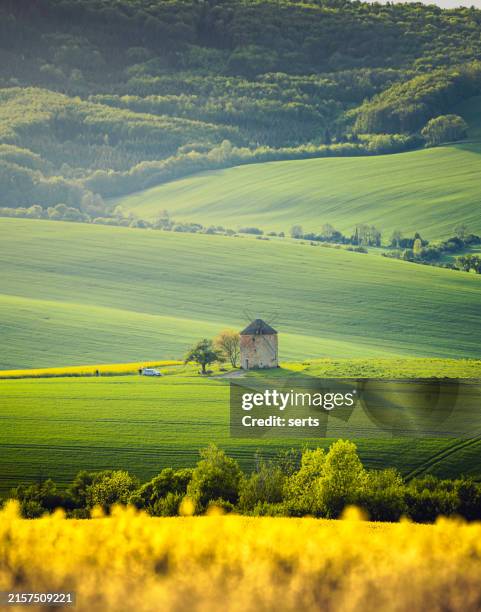 landscape view of green hills and rapeseed fields with traditional wind mill in moravia, czech republic. - turbine stock pictures, royalty-free photos & images