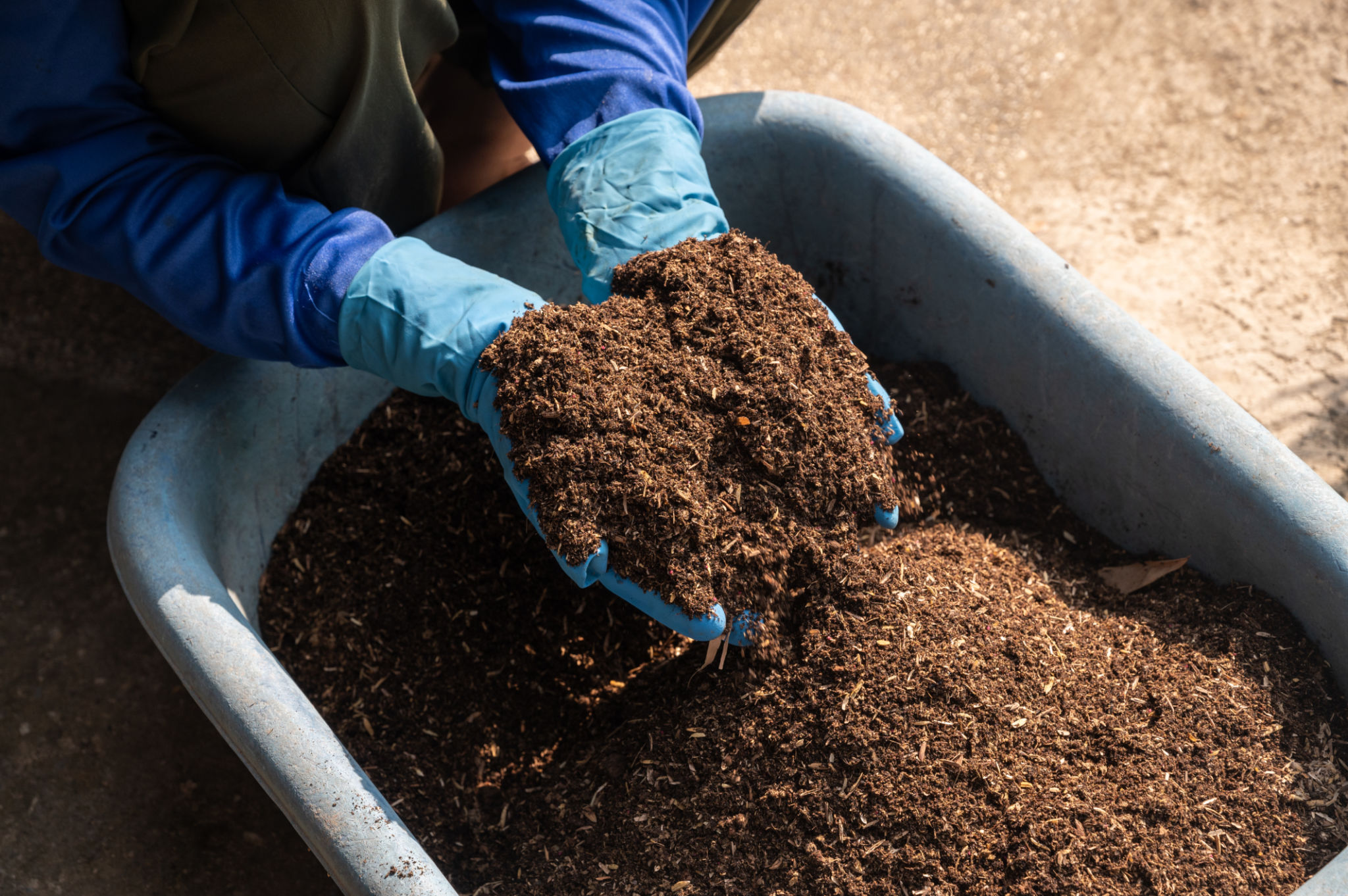 organic fertilizer