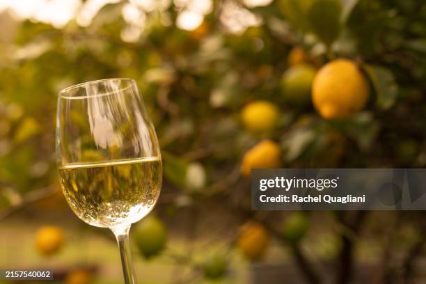 wine - pakenham australia stock pictures, royalty-free photos & images