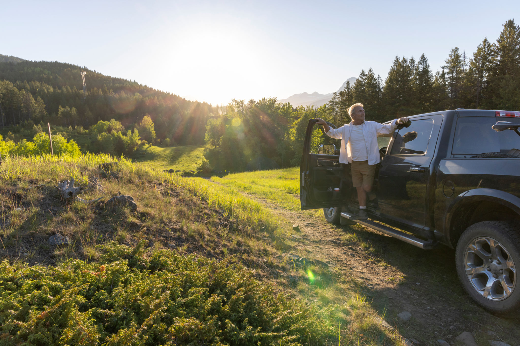truck summer