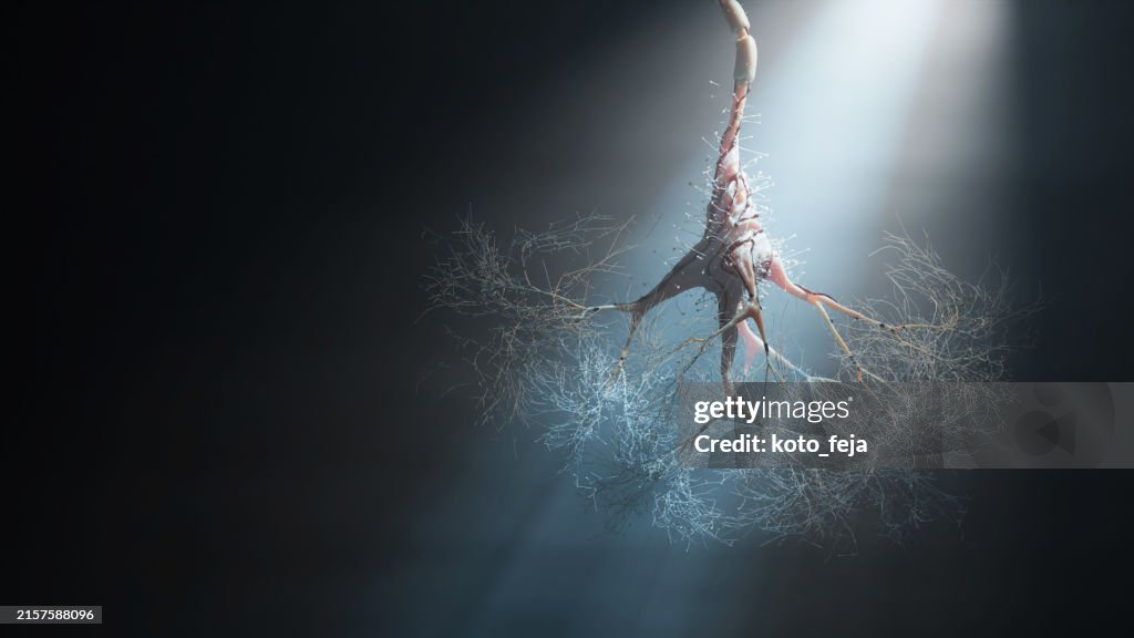 Abstract neuron cell