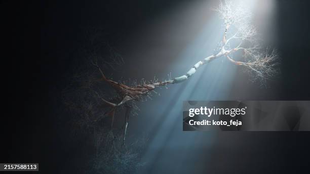 abstract neuron cell - sistema nervoso central imagens e fotografias de stock