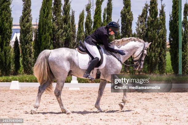 junge reiterin absolviert eine dressurreitprüfung in turnieruniform. - dressurreiten stock-fotos und bilder